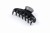 Black Pearl L 1.jpg